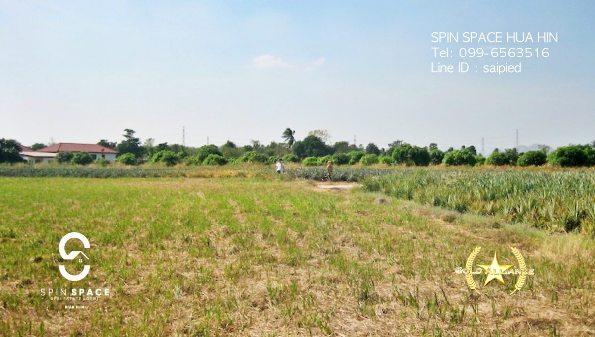 Land for sale near Wat Mongkol Hua Hin - 4