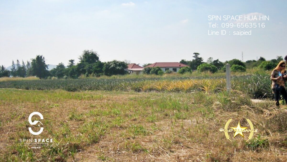 Land for sale near Wat Mongkol Hua Hin - 8