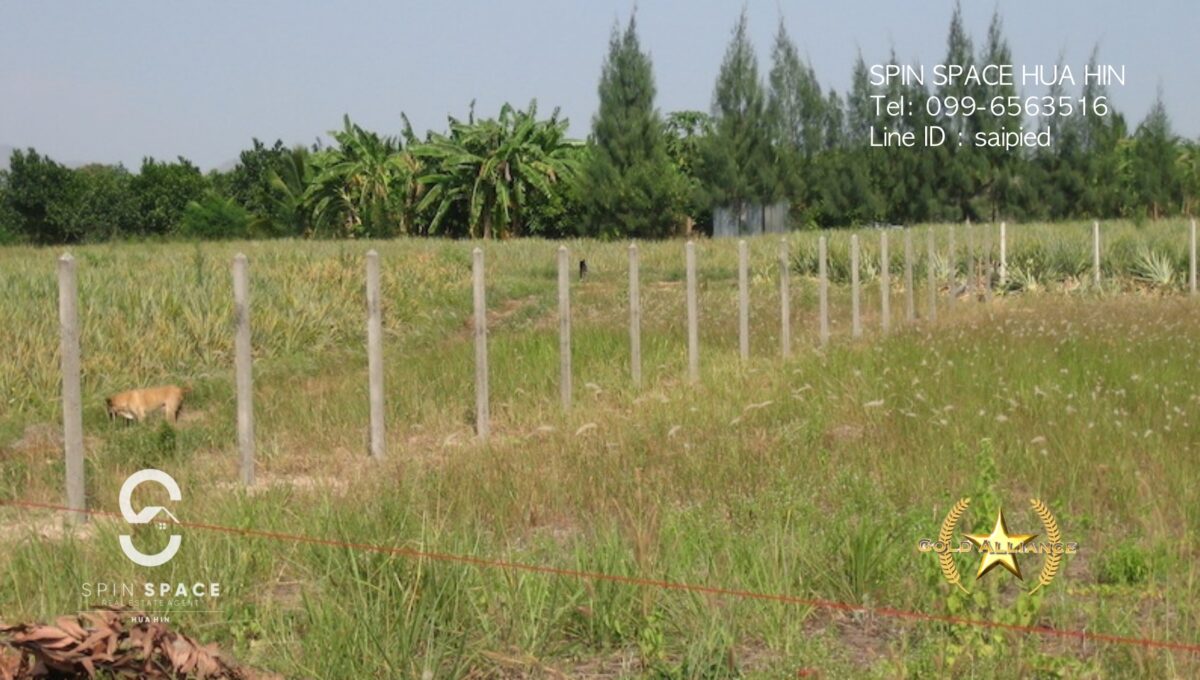 Land for sale near Wat Mongkol Hua Hin - 9